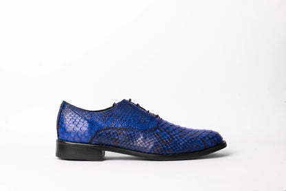 ENZO BLUE PYTHON