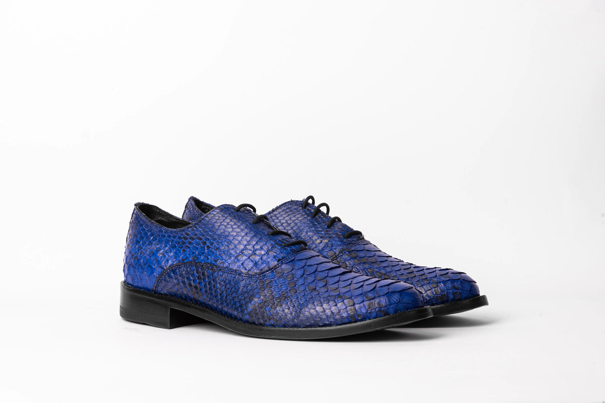 ENZO BLUE PYTHON