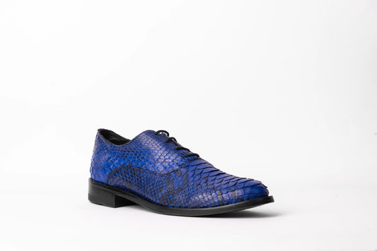 ENZO BLUE PYTHON