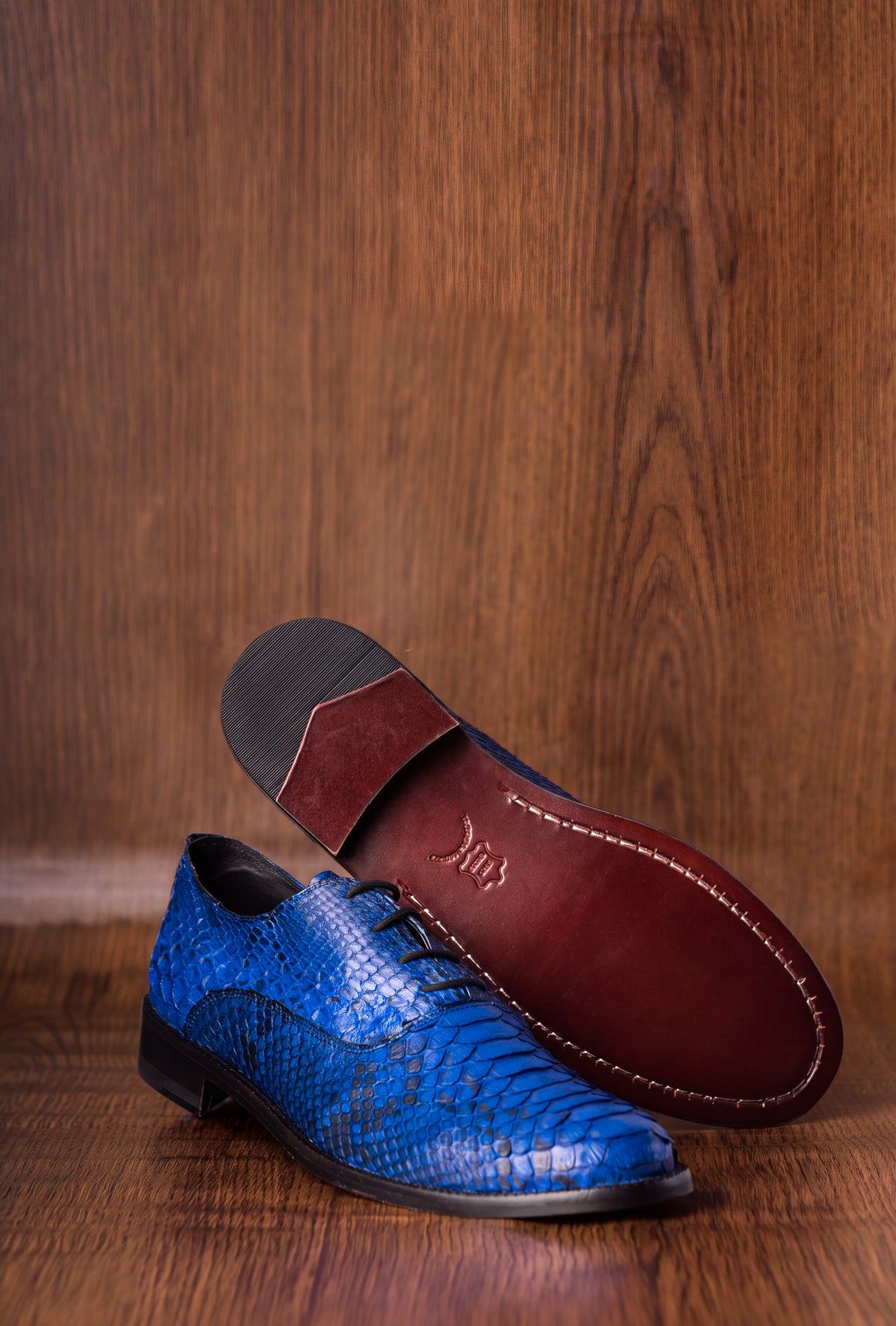 ENZO BLUE PYTHON