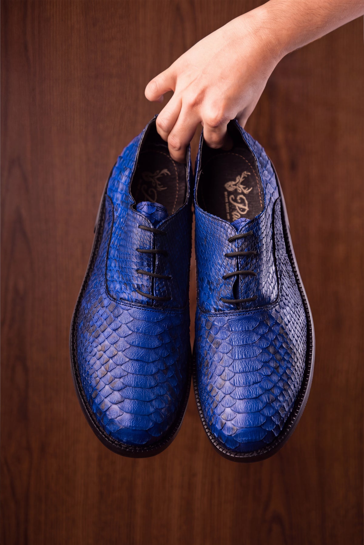 ENZO BLUE PYTHON