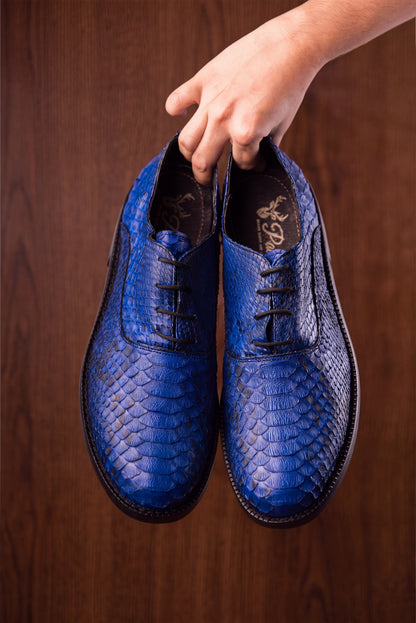 ENZO BLUE PYTHON